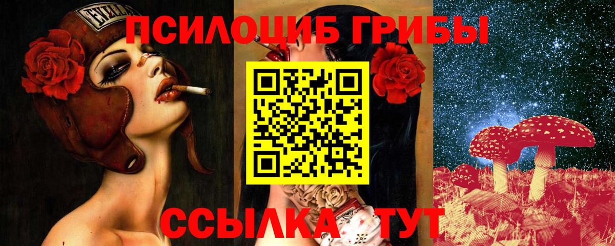 Псилоцибиновые грибы Cubensis Новоуральск