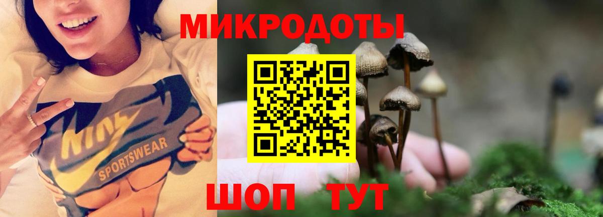 Галлюциногенные грибы ЛСД  Вход с VPN  Новоуральск  сколько стоит  Галлюциногенные грибы Psilocybine cubensis 
